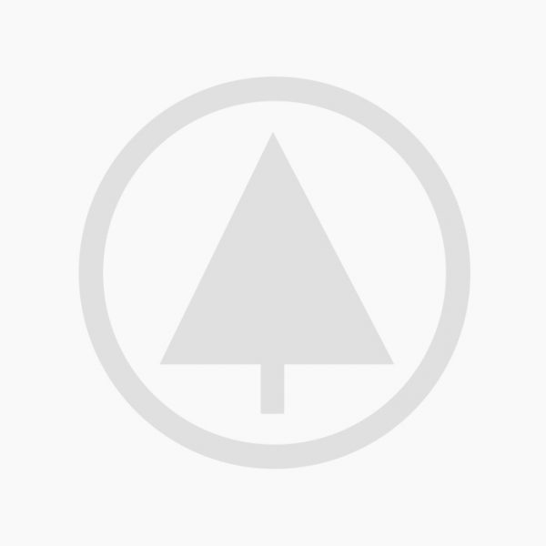 Classic wooden chair